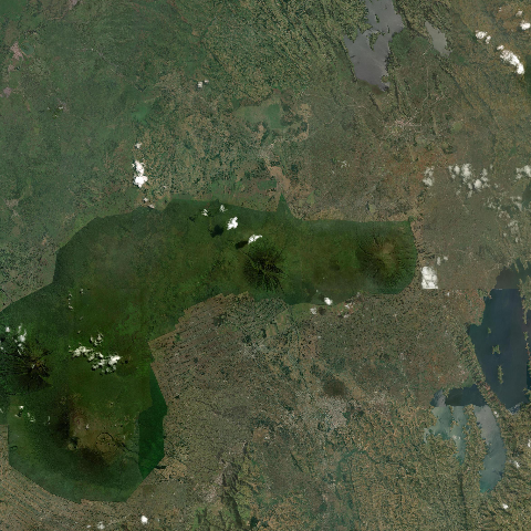 3D model of Sabinyo (223801)