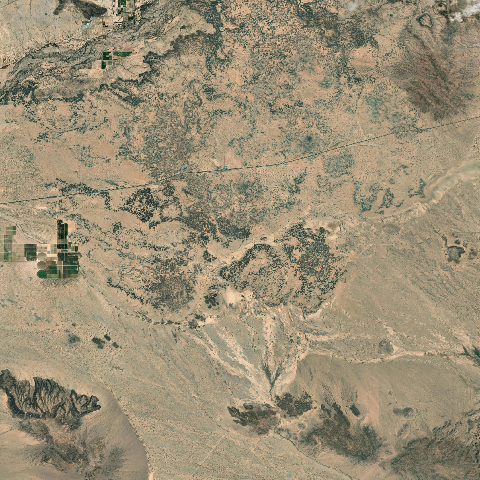 3D model of Sentinel Plain (329801)