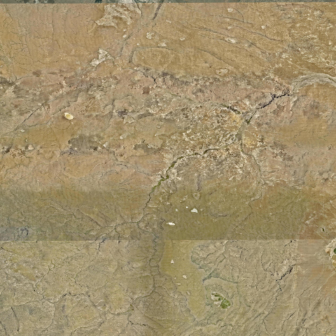 3D model of Sheldon Antelope (326810)