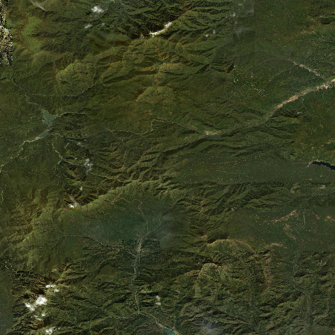 3D model of Shiitokoro (285820)