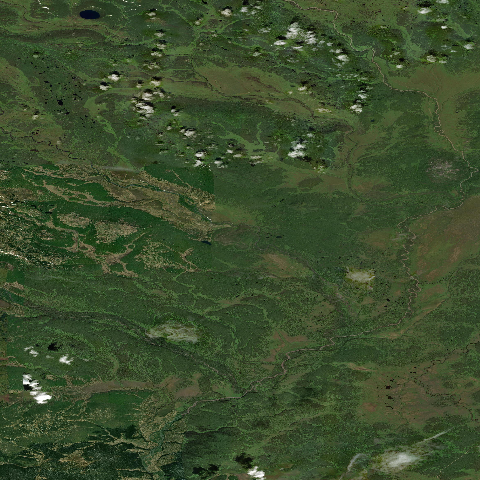 3D model of Shisheika (300511)