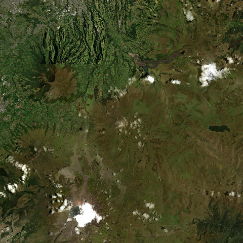3D model of Sincholagua (352813)