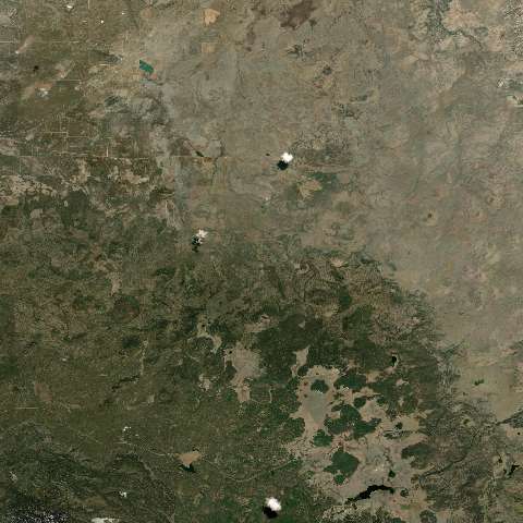 3D model of Springerville Volcanic Field (329802)