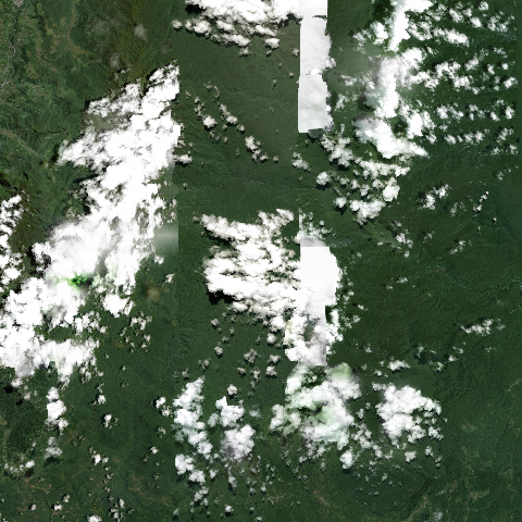 3D model of Sumaco volcano (352040)