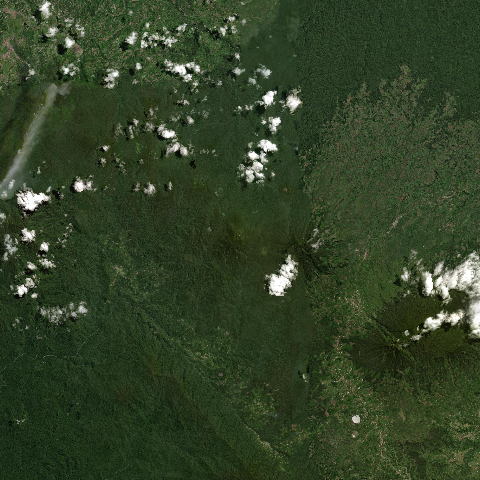 3D model of Sumbing (261180)