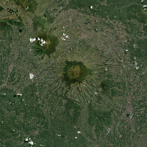 3D model of Sumbing (263220)