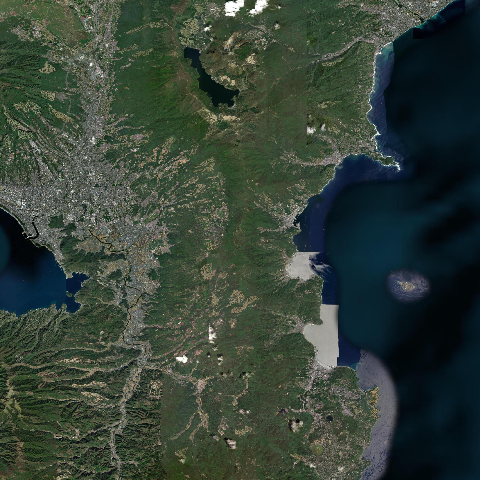 3D model of Taga (283820)