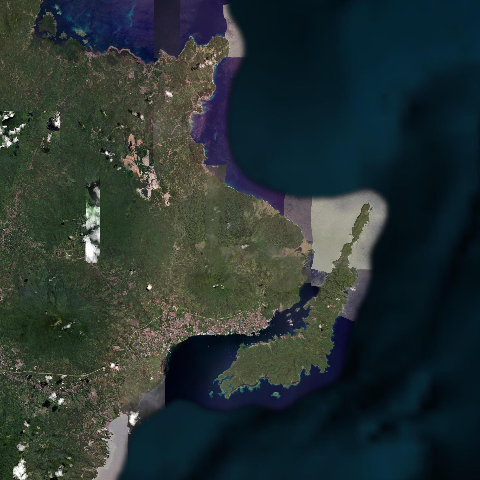 3D model of Tangkoko Duasudara (266130)