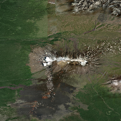 3D model of Tolbachik (300240)