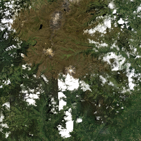 3D model of Tolima Nevado Del (351030)