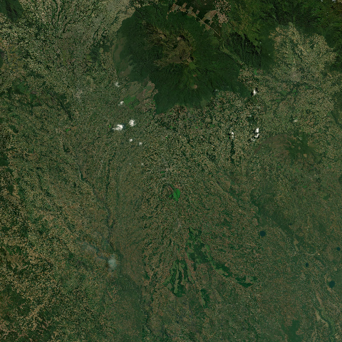 3D model of Tukuyu (422826)