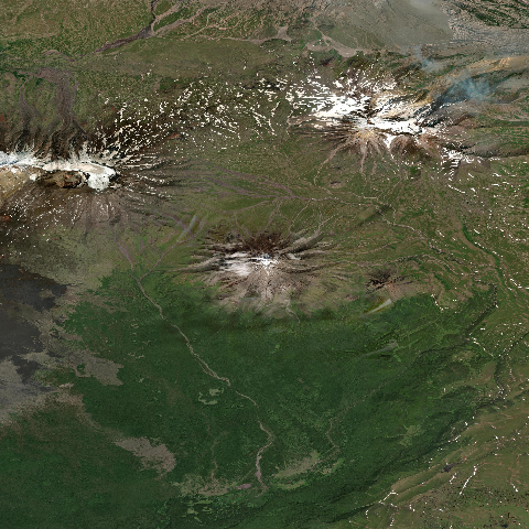 3D model of Udina (300241)