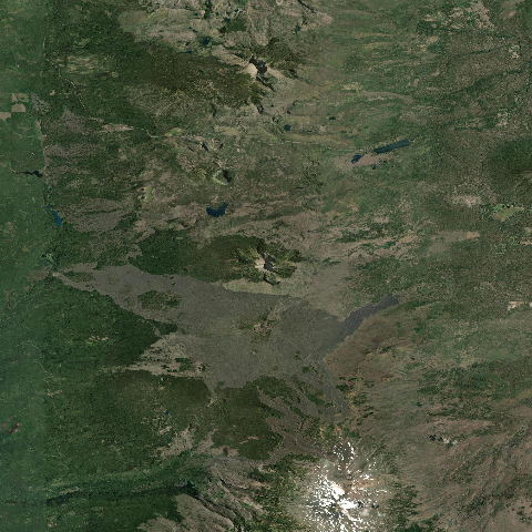 3D model of Washington (322807)