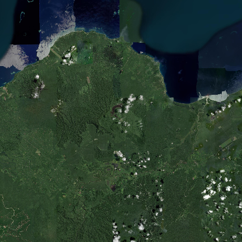 3D model of Witori (252080)