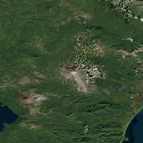 3D model of Zheltovsky (300040)
