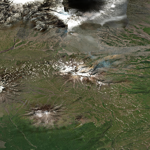 3D model of Zimina (300242)